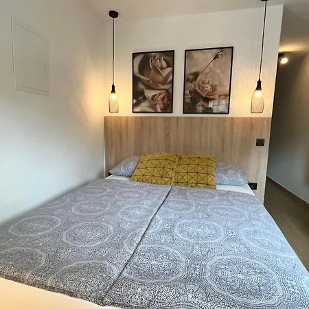 Apartmani Audacia ツリクヴェニツァ エクステリア 写真